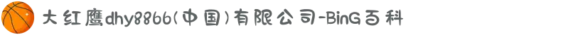大红鹰dhy8866(中国)有限公司-BinG百科